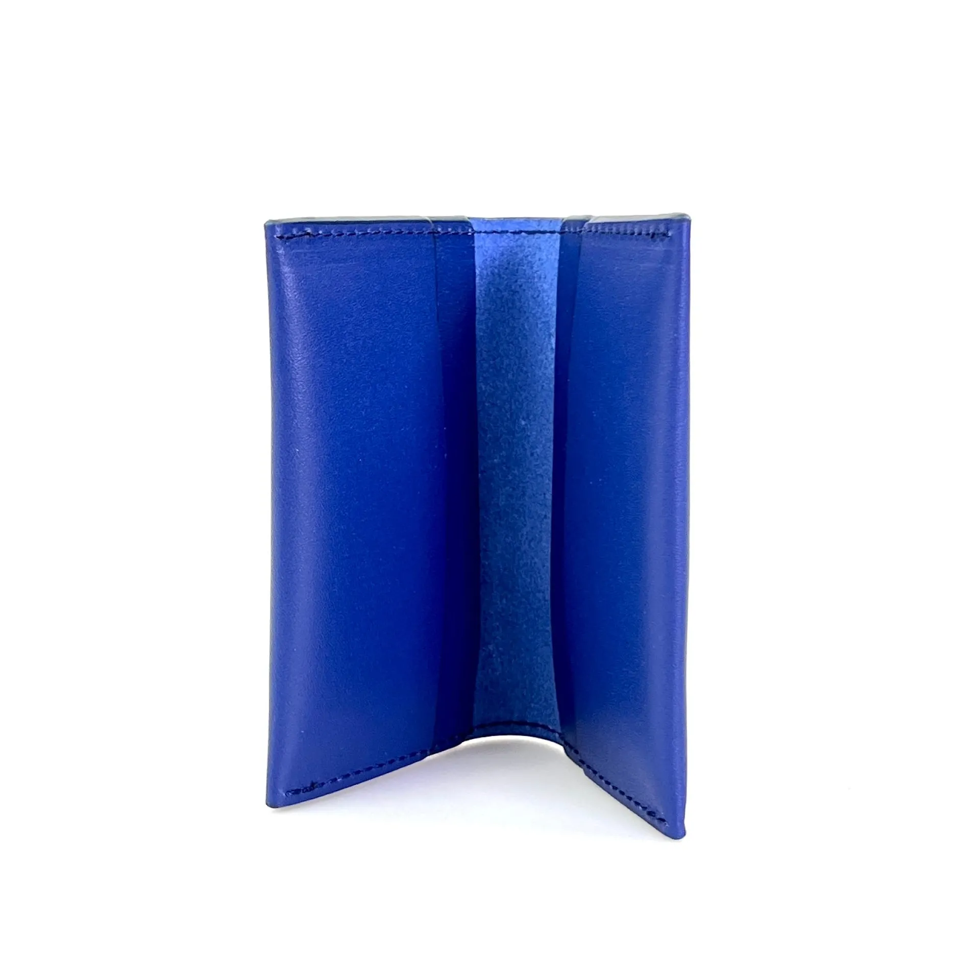 Daniel Chong Tarjetero Azul Klein* Carteras