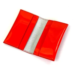 Daniel Chong Tarjetero Charol* Carteras